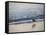 USA, California. Coastal bird along Morro Bay beach.-Anna Miller-Framed Stretched Canvas