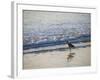 USA, California. Coastal bird along Morro Bay beach.-Anna Miller-Framed Photographic Print