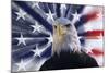 USA, California. Composite of bald eagle and American flag.-Jaynes Gallery-Mounted Photographic Print