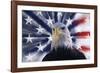 USA, California. Composite of bald eagle and American flag.-Jaynes Gallery-Framed Photographic Print