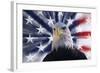 USA, California. Composite of bald eagle and American flag.-Jaynes Gallery-Framed Photographic Print