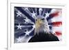 USA, California. Composite of bald eagle and American flag.-Jaynes Gallery-Framed Premium Photographic Print