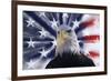 USA, California. Composite of bald eagle and American flag.-Jaynes Gallery-Framed Premium Photographic Print