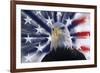 USA, California. Composite of bald eagle and American flag.-Jaynes Gallery-Framed Premium Photographic Print