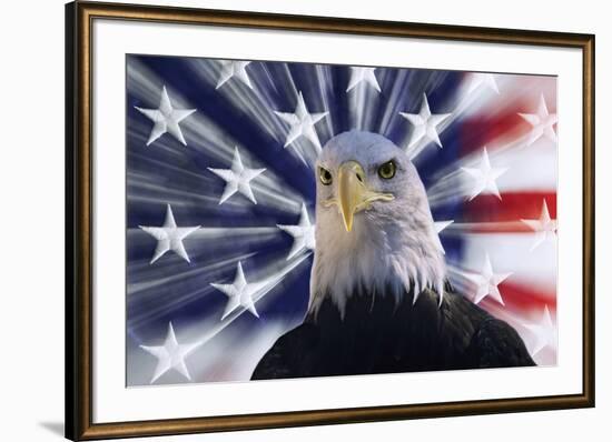 USA, California. Composite of bald eagle and American flag.-Jaynes Gallery-Framed Premium Photographic Print