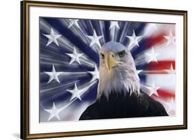 USA, California. Composite of bald eagle and American flag.-Jaynes Gallery-Framed Premium Photographic Print