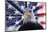 USA, California. Composite of bald eagle and American flag.-Jaynes Gallery-Mounted Photographic Print