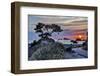 USA, California, Crescent City, Monterey Cypress-Joe Restuccia III-Framed Photographic Print