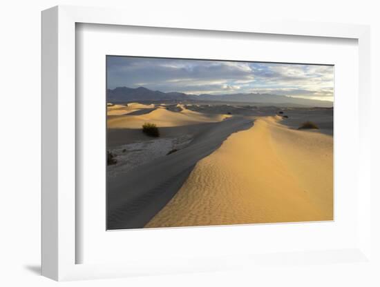 USA, California, Death Valley, Mesquite Flat Sand Dunes at sunrise.-Kevin Oke-Framed Photographic Print