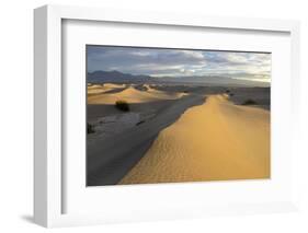 USA, California, Death Valley, Mesquite Flat Sand Dunes at sunrise.-Kevin Oke-Framed Photographic Print