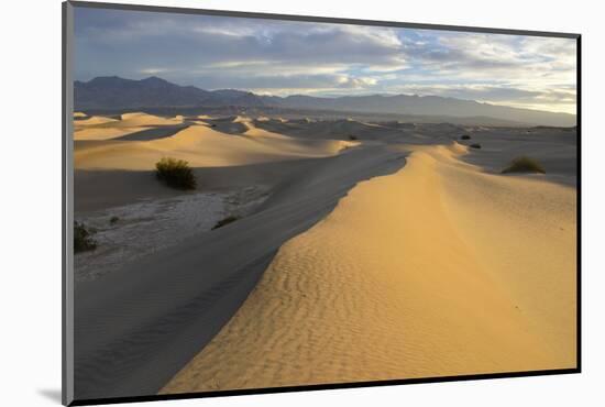 USA, California, Death Valley, Mesquite Flat Sand Dunes at sunrise.-Kevin Oke-Mounted Photographic Print