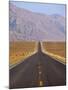 USA, California, Death Valley National Park, Badwater Road Landscape-Walter Bibikow-Mounted Photographic Print