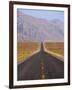 USA, California, Death Valley National Park, Badwater Road Landscape-Walter Bibikow-Framed Photographic Print