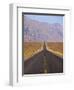 USA, California, Death Valley National Park, Badwater Road Landscape-Walter Bibikow-Framed Photographic Print