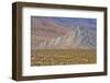 USA, California, Death Valley National Park, Butte Valley Road, Striped Butte-Bernard Friel-Framed Photographic Print