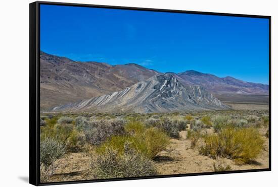 USA, California. Death Valley National Park, Butte Valley Road, Stripped Butte-Bernard Friel-Framed Stretched Canvas