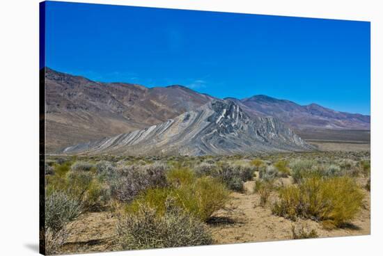 USA, California. Death Valley National Park, Butte Valley Road, Stripped Butte-Bernard Friel-Stretched Canvas