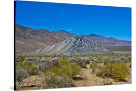 USA, California. Death Valley National Park, Butte Valley Road, Stripped Butte-Bernard Friel-Stretched Canvas