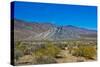 USA, California. Death Valley National Park, Butte Valley Road, Stripped Butte-Bernard Friel-Stretched Canvas