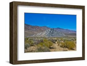 USA, California. Death Valley National Park, Butte Valley Road, Stripped Butte-Bernard Friel-Framed Photographic Print