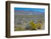 USA, California. Death Valley National Park, Butte Valley Road, Stripped Butte-Bernard Friel-Framed Photographic Print