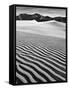 USA, California, Death Valley National Park, Early Morning Sun Hits Mesquite Flat Dunes-Ann Collins-Framed Stretched Canvas