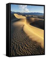 USA, California, Death Valley National Park. Early Morning Sun Hits Mesquite Flat Dunes-Ann Collins-Framed Stretched Canvas