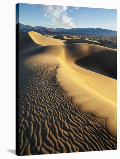 USA, California, Death Valley National Park. Early Morning Sun Hits Mesquite Flat Dunes-Ann Collins-Stretched Canvas