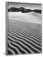 USA, California, Death Valley National Park, Early Morning Sun Hits Mesquite Flat Dunes-Ann Collins-Framed Photographic Print