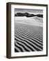 USA, California, Death Valley National Park, Early Morning Sun Hits Mesquite Flat Dunes-Ann Collins-Framed Photographic Print