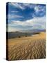 USA, California, Death Valley National Park, Mesquite Flat Sand Dunes-Walter Bibikow-Stretched Canvas