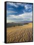 USA, California, Death Valley National Park, Mesquite Flat Sand Dunes-Walter Bibikow-Framed Stretched Canvas