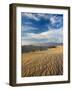 USA, California, Death Valley National Park, Mesquite Flat Sand Dunes-Walter Bibikow-Framed Photographic Print