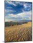 USA, California, Death Valley National Park, Mesquite Flat Sand Dunes-Walter Bibikow-Mounted Photographic Print