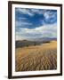 USA, California, Death Valley National Park, Mesquite Flat Sand Dunes-Walter Bibikow-Framed Photographic Print