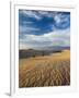 USA, California, Death Valley National Park, Mesquite Flat Sand Dunes-Walter Bibikow-Framed Photographic Print