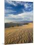 USA, California, Death Valley National Park, Mesquite Flat Sand Dunes-Walter Bibikow-Mounted Photographic Print