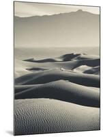 USA, California, Death Valley National Park, Mesquite Flat Sand Dunes-Walter Bibikow-Mounted Photographic Print