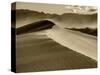 USA, California. Death Valley National Park, Mesquite Flats Sand Dunes, blowing sand.-Jamie & Judy Wild-Stretched Canvas