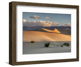 USA, California. Death Valley National Park, Mesquite Flats Sand Dunes, blowing sand.-Jamie & Judy Wild-Framed Photographic Print