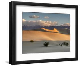 USA, California. Death Valley National Park, Mesquite Flats Sand Dunes, blowing sand.-Jamie & Judy Wild-Framed Photographic Print