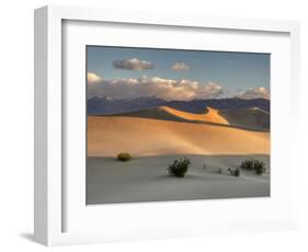 USA, California. Death Valley National Park, Mesquite Flats Sand Dunes, blowing sand.-Jamie & Judy Wild-Framed Photographic Print