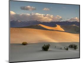 USA, California. Death Valley National Park, Mesquite Flats Sand Dunes, blowing sand.-Jamie & Judy Wild-Mounted Photographic Print