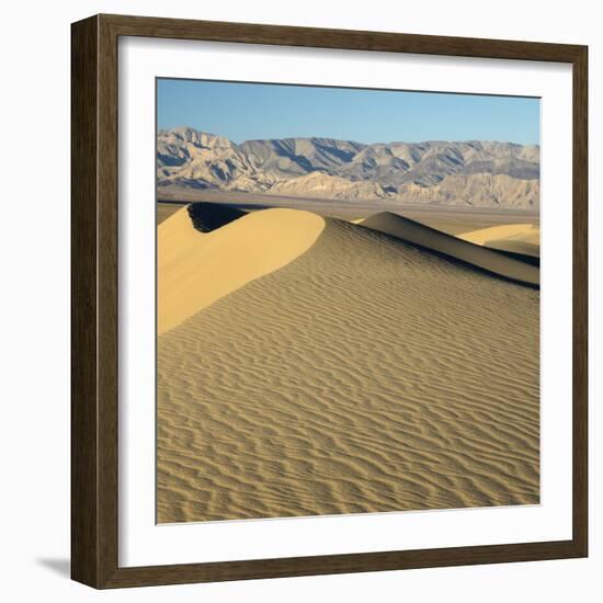 USA, California. Death Valley National Park, Mesquite Flats Sand Dunes.-Jamie & Judy Wild-Framed Photographic Print