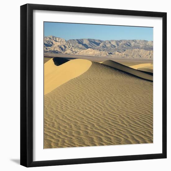 USA, California. Death Valley National Park, Mesquite Flats Sand Dunes.-Jamie & Judy Wild-Framed Photographic Print