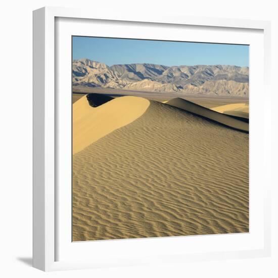 USA, California. Death Valley National Park, Mesquite Flats Sand Dunes.-Jamie & Judy Wild-Framed Photographic Print
