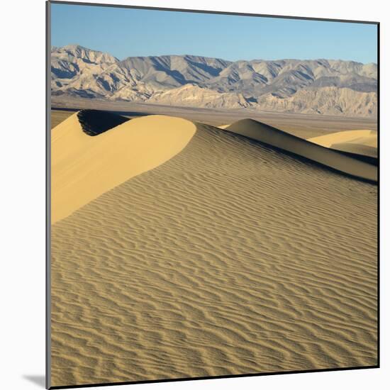 USA, California. Death Valley National Park, Mesquite Flats Sand Dunes.-Jamie & Judy Wild-Mounted Photographic Print