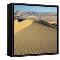 USA, California. Death Valley National Park, Mesquite Flats Sand Dunes.-Jamie & Judy Wild-Framed Stretched Canvas