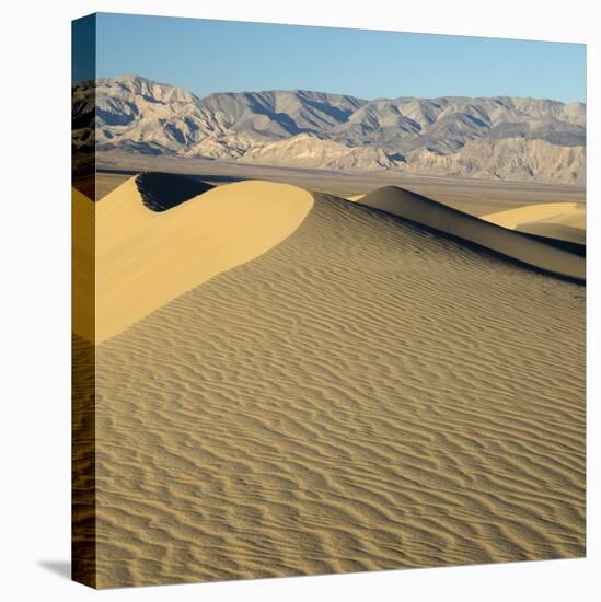 USA, California. Death Valley National Park, Mesquite Flats Sand Dunes.-Jamie & Judy Wild-Stretched Canvas