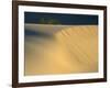 USA, California. Death Valley National Park, Mesquite Flats Sand Dunes.-Jamie & Judy Wild-Framed Photographic Print